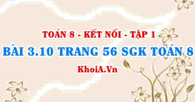 Bài 3.10 trang 56 SGK Toán 8 tập 1 Kết nối tri thức